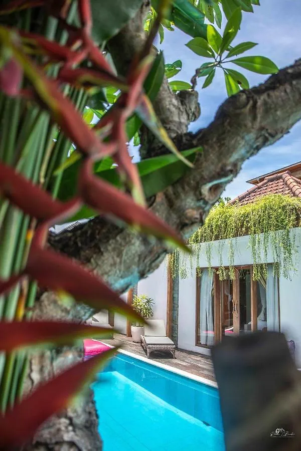 Elvano Villa In Heart Of Seminyak And Near Beach
